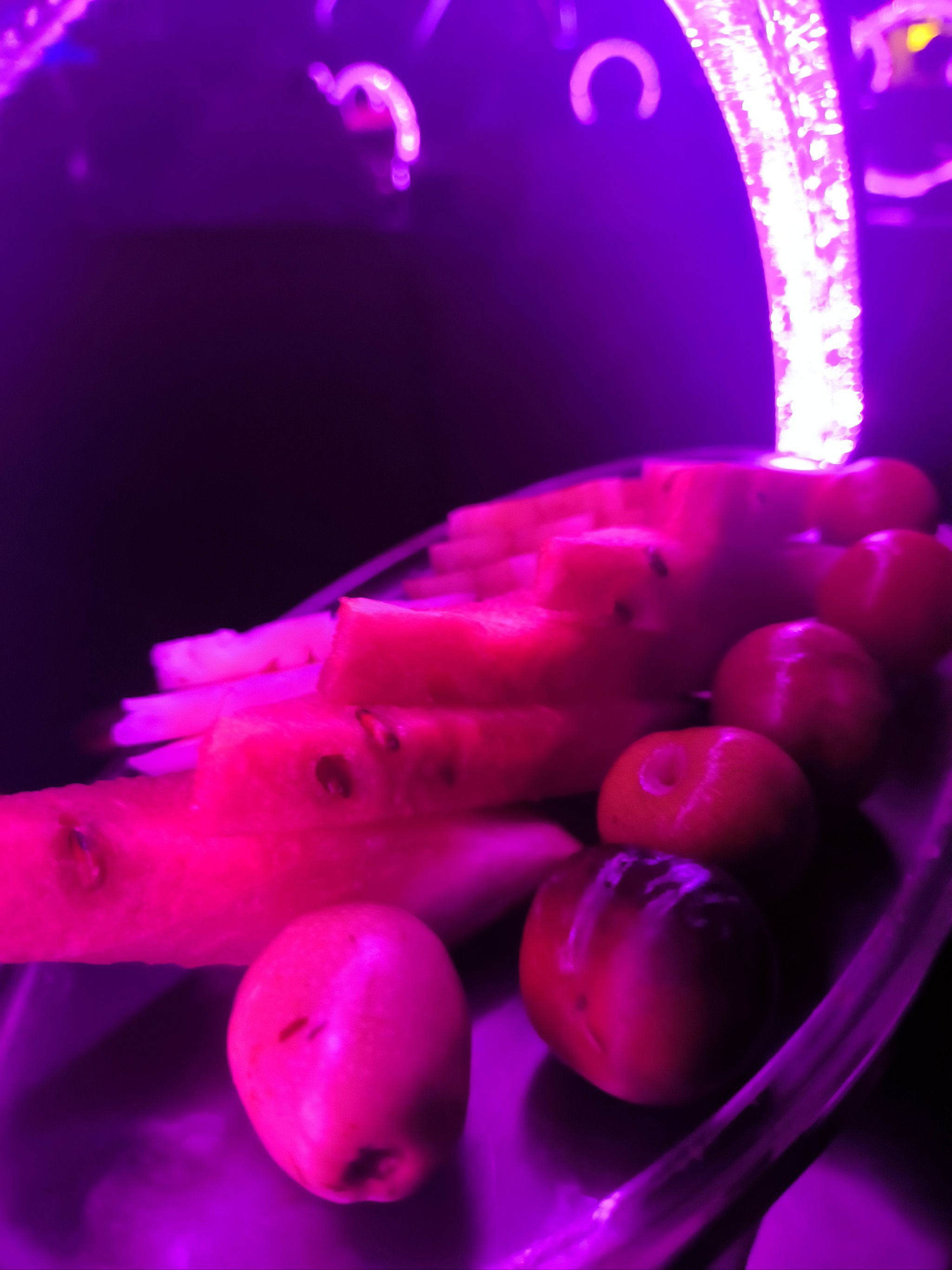 齐齐哈尔商务ktv推荐-讷河市ktv预定